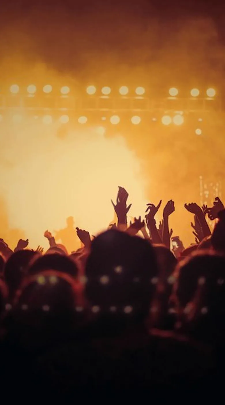 Crowd with hands up for the encore